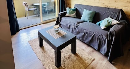 Appartement Refait Ă Neuf, vue Montagne