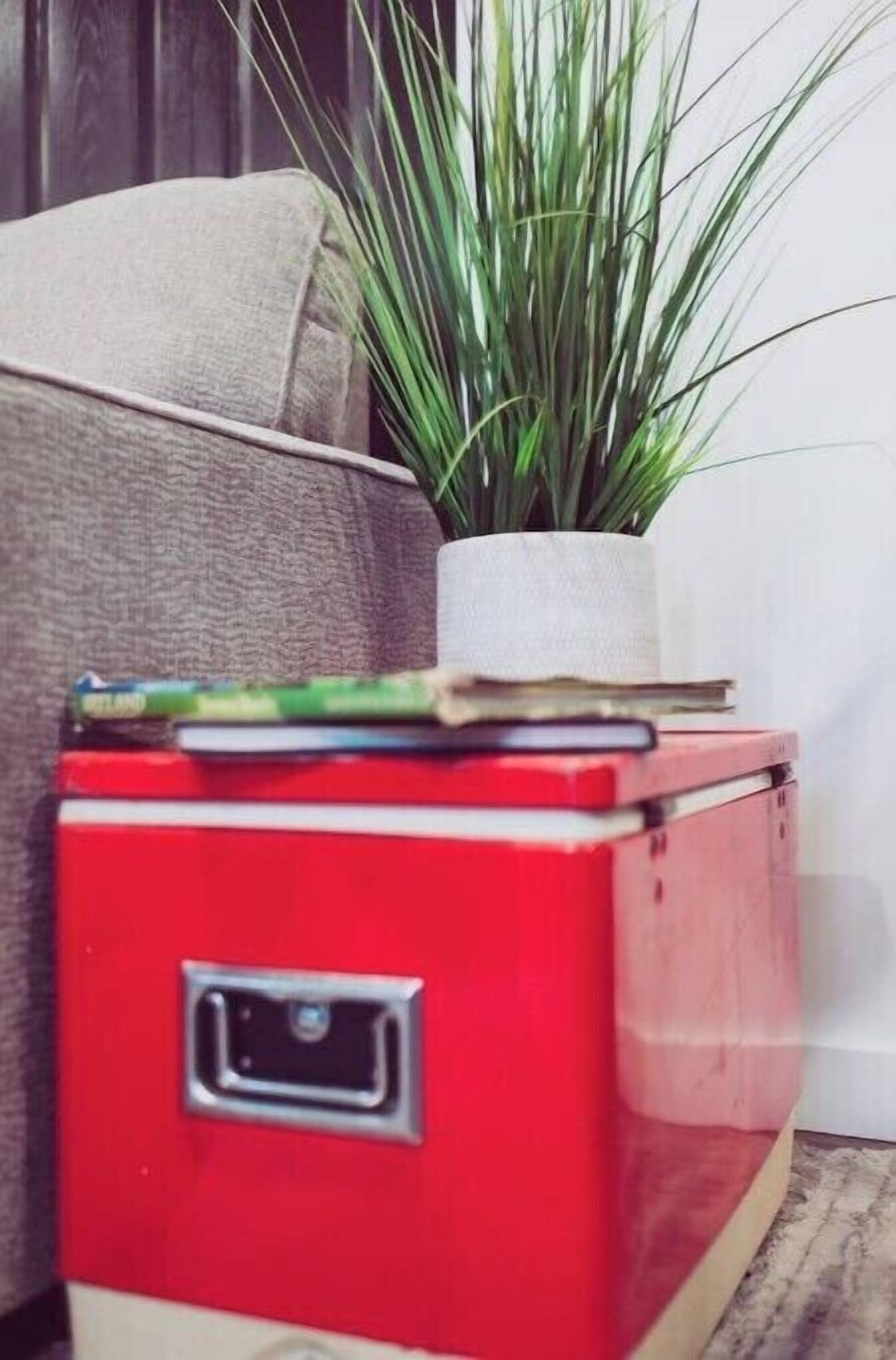 A red vintage suitcase with a small plant on top, placed on a beige couch.