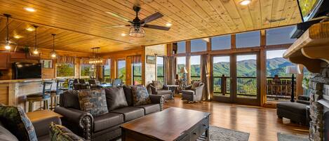 TV, fireplace, video games