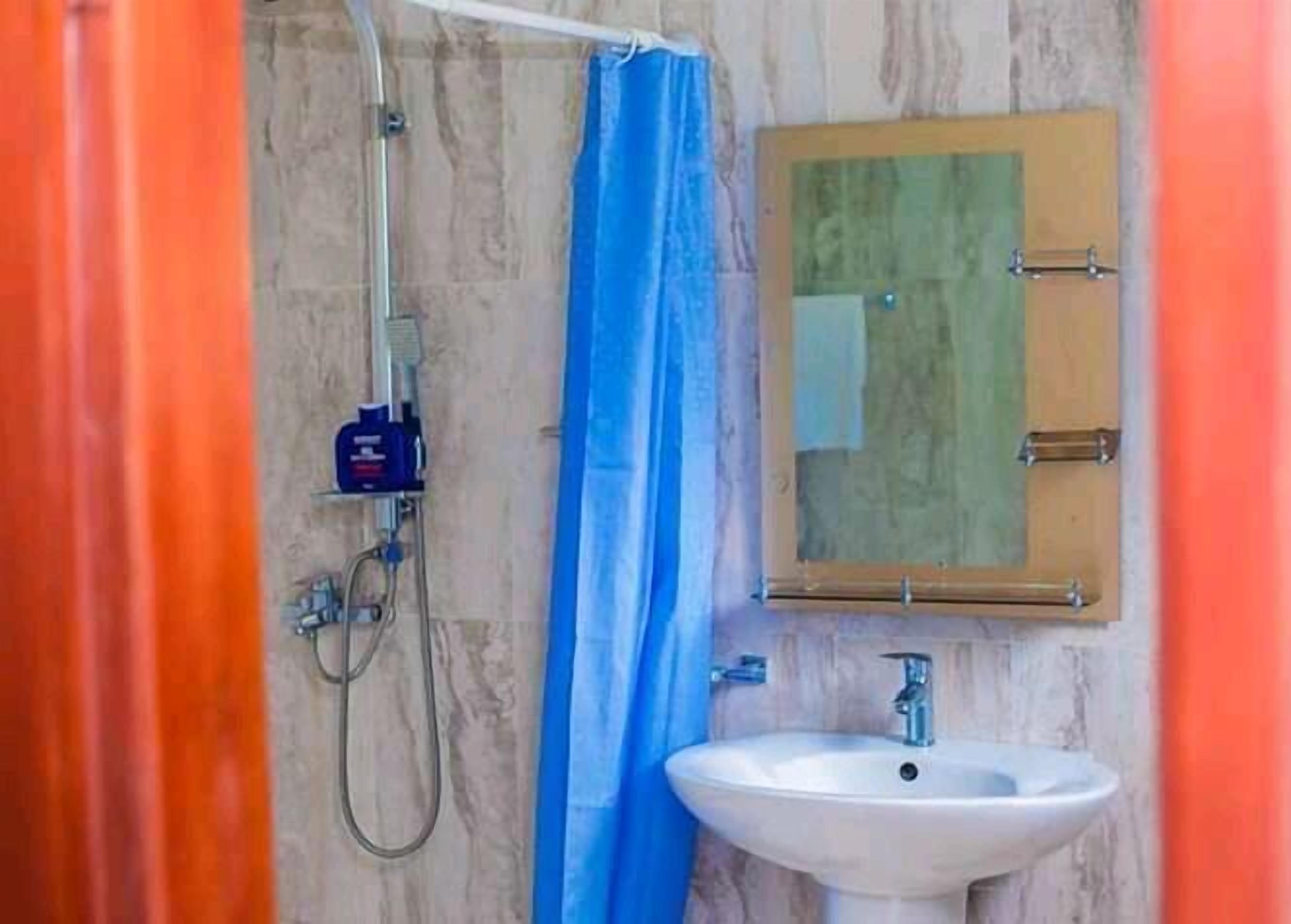 A bathroom with a shower, a sink, and a mirror.