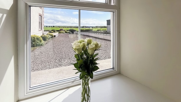 Vista despejada de una ventana con un florero de flores blancas en el alféizar.