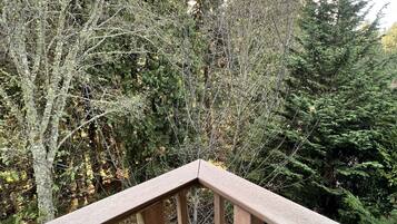 A wooden deck with a view of dense forest and tall trees.
