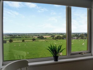 Una ventana con vistas a un campo verde con ovejas, una planta en maceta y una silla blanca.