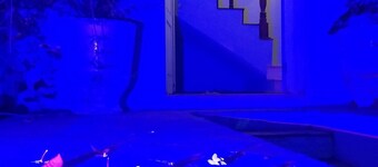 Erva Cidreira Hostel