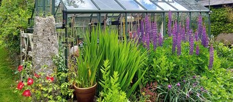 Boende med 2 sovrum i Chillaton, near Tavistock