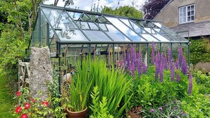 Un invernadero con techo de vidrio, rodeado de diversas plantas y flores.
