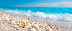 A beach with scattered seashells and a clear blue sky. - 85" TV•World Tennis Club•Beach 4mi•Sauna•2 Heated Pools•Hot Tub•Pickleball (Naples)