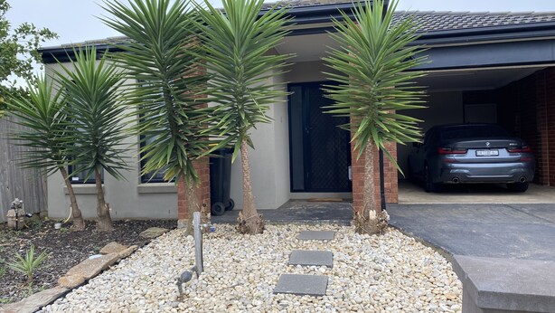 A residential property with a garage, a driveway, and a garden area with palm trees and pebbles. - Whole House with 4 Queen Beds - Closer to Melbourne Airport - 8 Guests (Kurunjang)