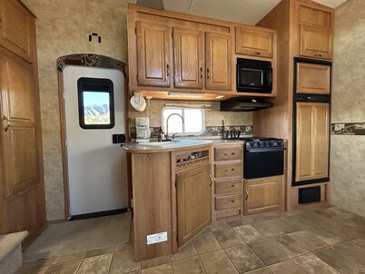 The Eagle Perched at Roosevelt Lake