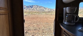 The Eagle Perched at Roosevelt Lake