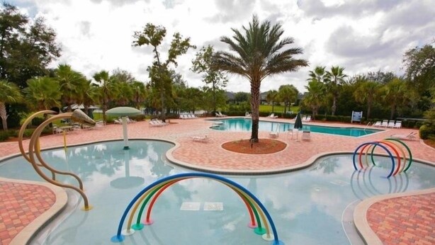A swimming pool with a palm tree and lounge chairs. - Amazing Centrally Located Home in Peaceful Area (Jacksonville)