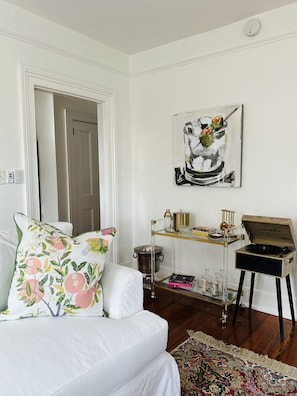 Smart TV, fireplace, books, music library