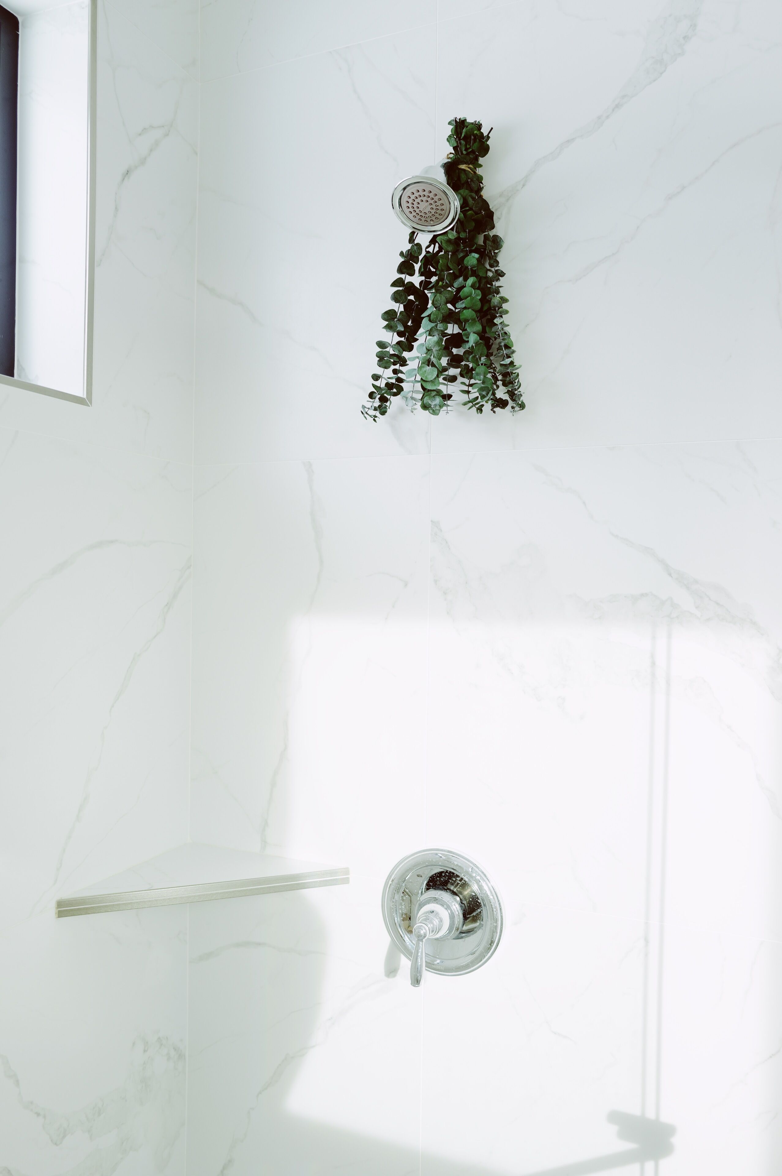 A bathroom with a marble wall, a shower with a glass door, and a plant on the wall.