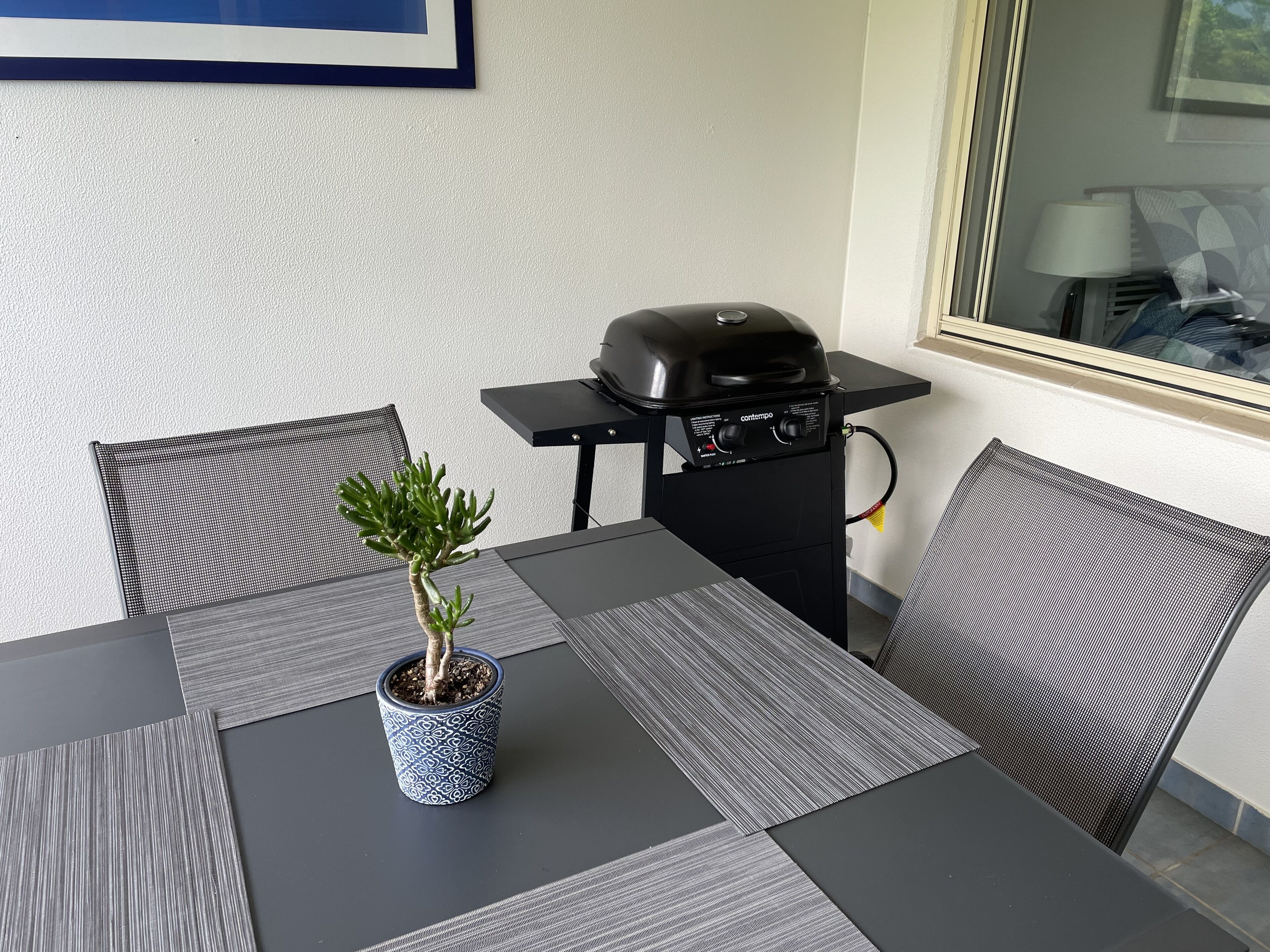 Et spiseområde med en sort grill, to stole og en potteplante på et bord.