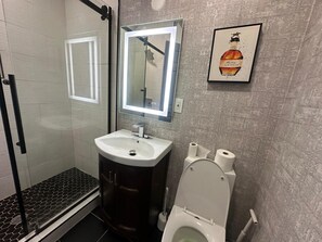 Shower, hair dryer, shampoo