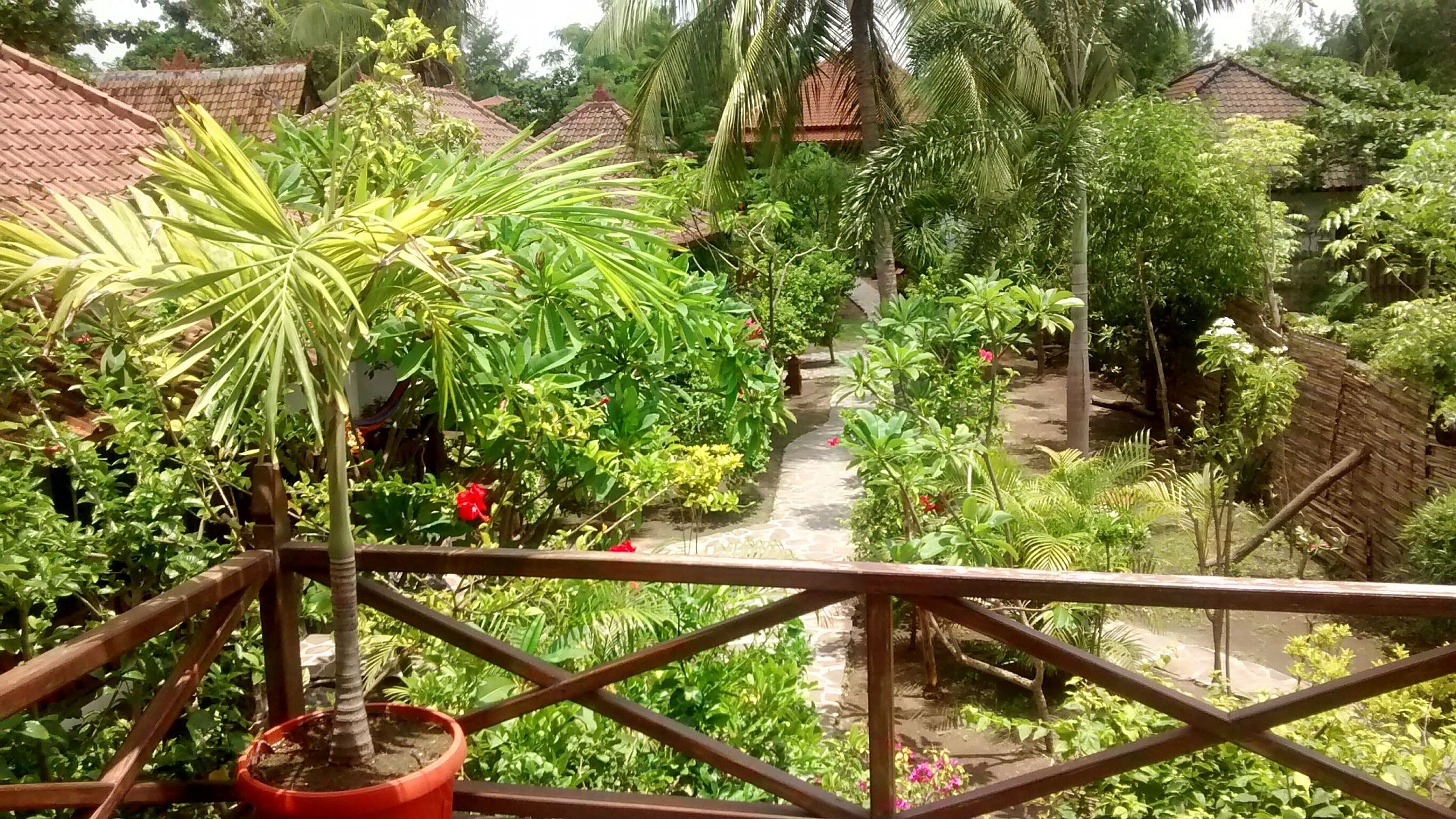 A lush garden with a variety of plants and a stone pathway.