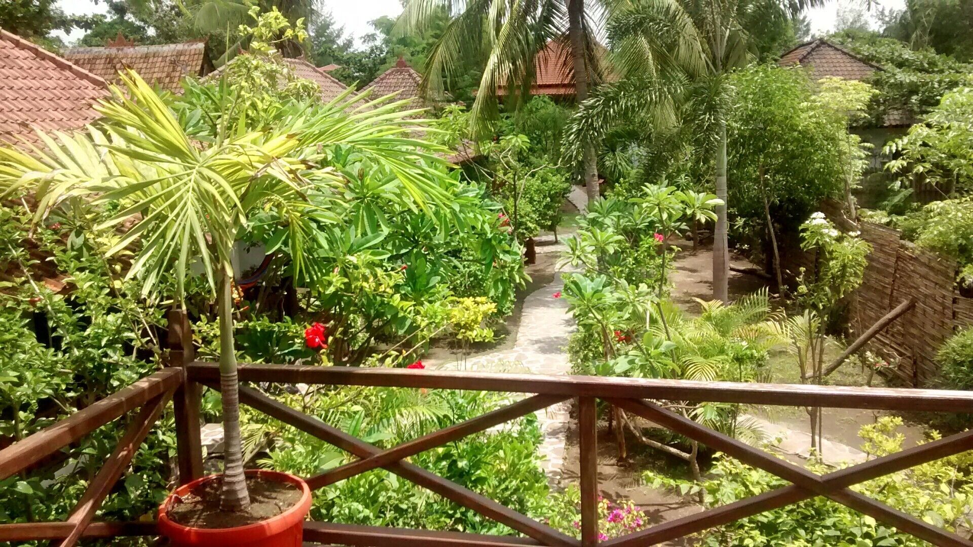 Un jardín exuberante con diversas plantas y un pequeño arroyo.
