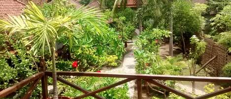 Un jardín exuberante con diversas plantas y un pequeño arroyo.