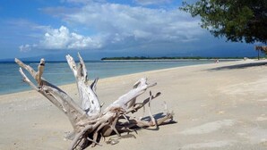 A beach with driftwood and a clear view of the ocean.