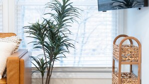 Une pièce comprenant un canapé, une plante dans un panier en osier, une étagère en rotin et un téléviseur fixé au mur.
