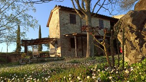 A stone building with a wooden pergola and a garden with white flowers. - Agriturismo Casa Greppo - Il Noce (San Venanzo)