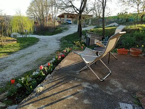A garden with a gravel path, a chair, and potted plants. - Agriturismo Casa Greppo - Il Noce (San Venanzo)