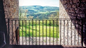 A stone-walled room with a balcony overlooking a green valley. - Agriturismo Casa Greppo - Il Noce (San Venanzo)
