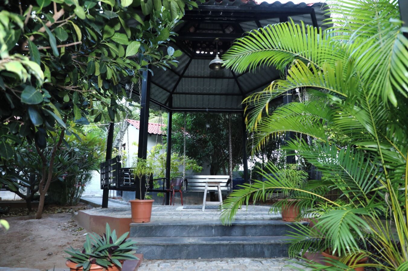A covered outdoor seating area with steps leading up to a bench, surrounded by potted plants and trees.