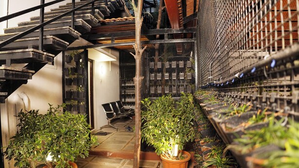 Uma escadaria com vários níveis, plantas em vasos e uma área de estar com cadeiras.