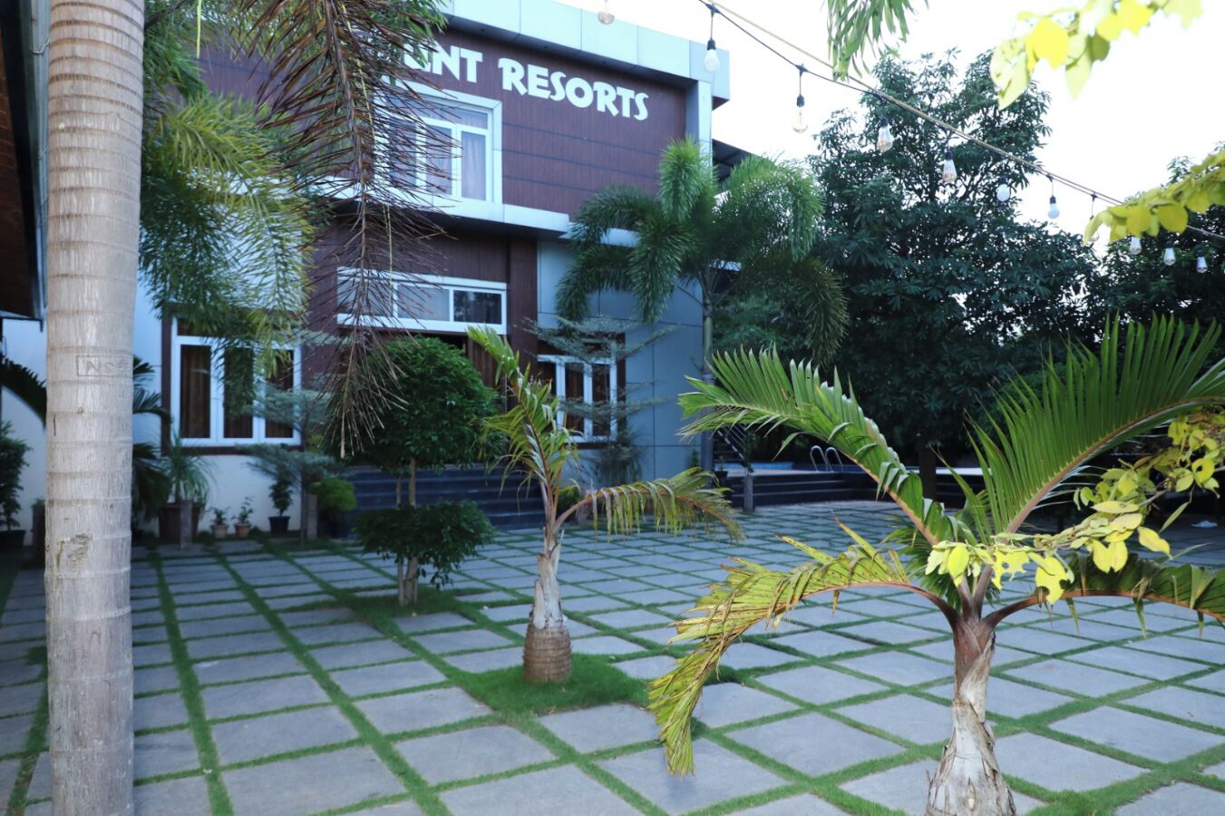 Un edificio con el rótulo 'RESORTS', un patio empedrado, palmeras y una palmera con flores amarillas.