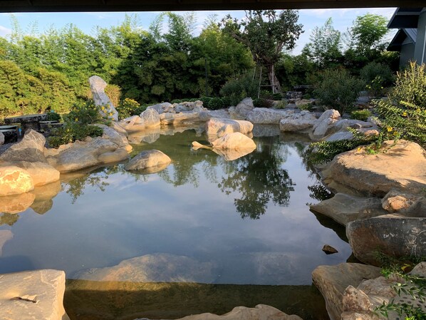 2 outdoor pools