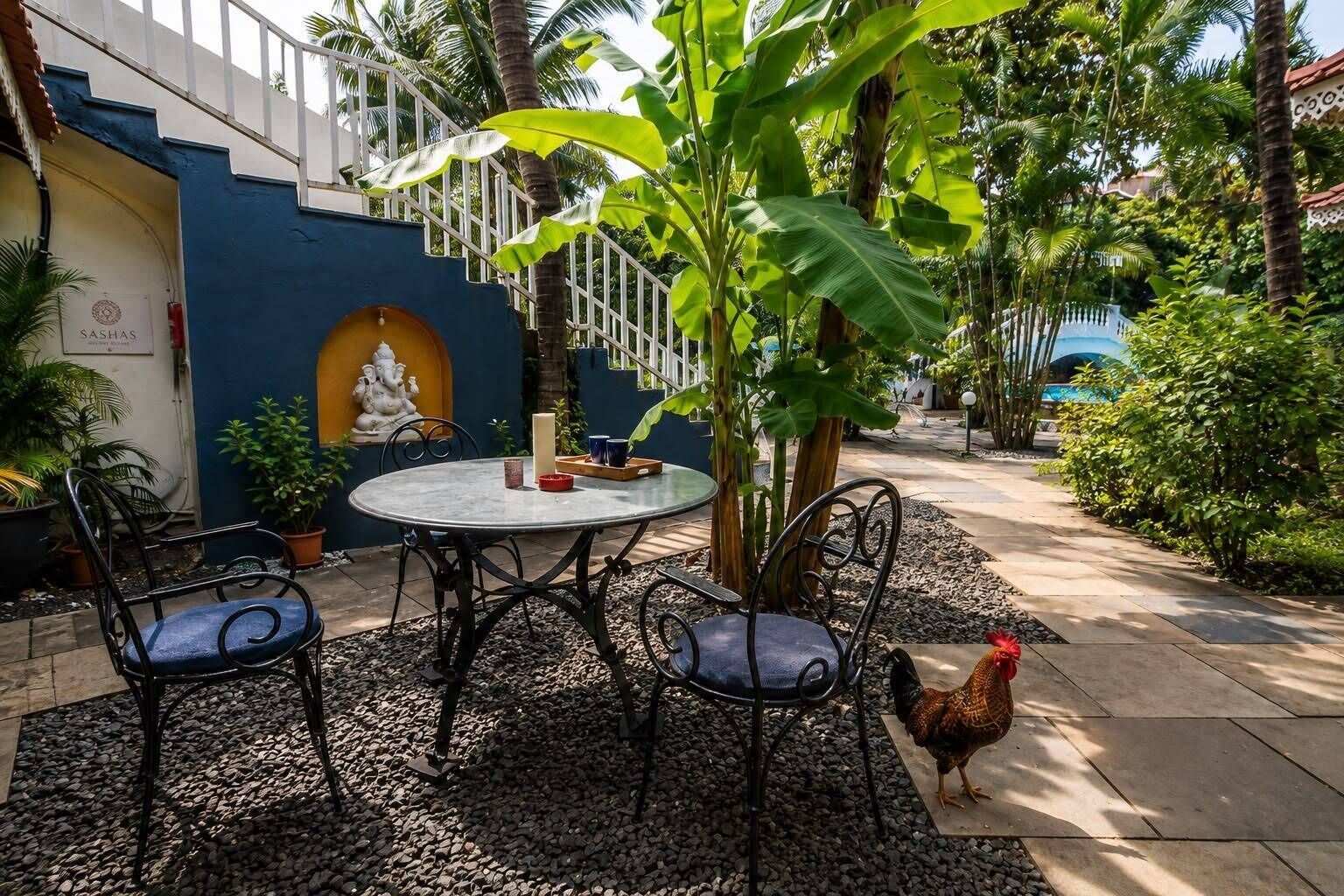 Jardín