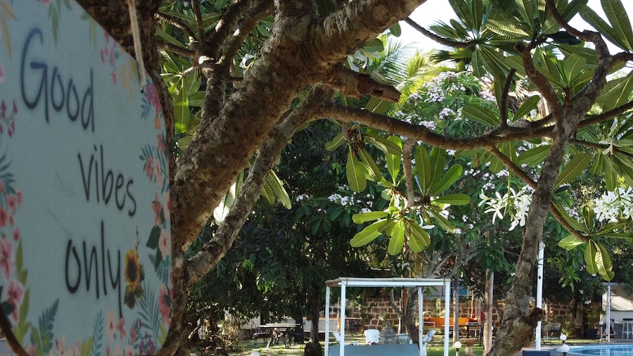 Sashas Holiday Village