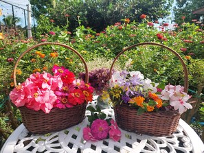 Garden - Tung Na Pa Suan Farmstay (Doem Bang Nang Buat)
