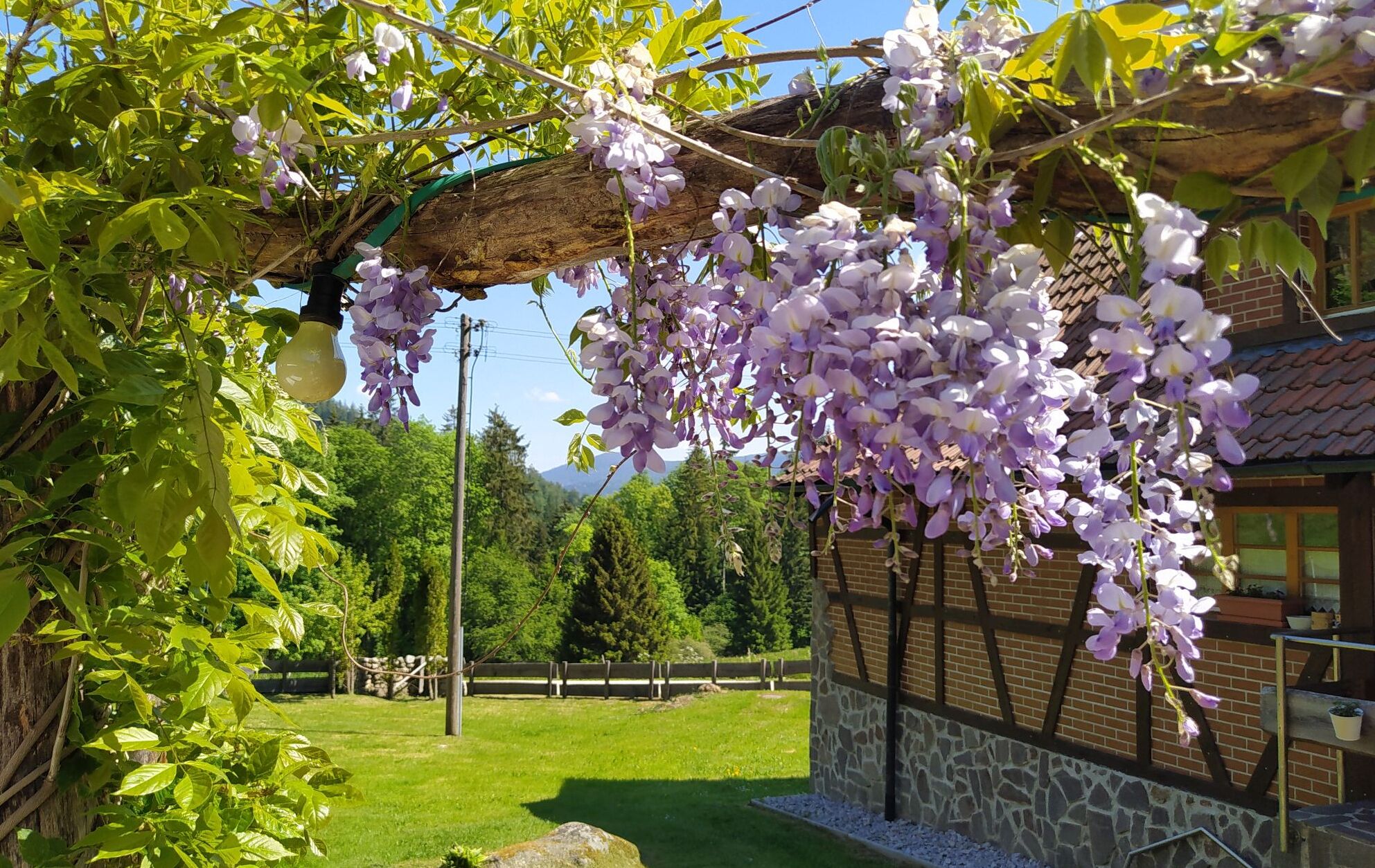 Jardines del alojamiento
