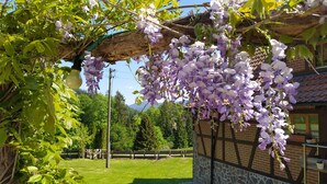 En have med lilla wisteria slyngplanter, der hænger over en stenvæg, et træhegn og en murbygning i baggrunden.