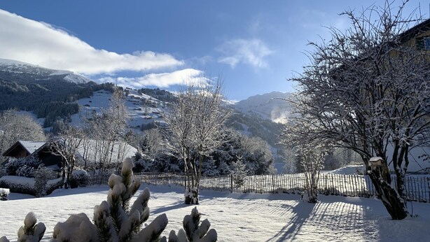 A snowy landscape with a clear sky, a fenced yard, and a mountain in the background. - Ferienwohnung Waldrand EG by Interhome (Lenk)
