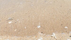 A beach with clear shallow water and a sandy shore. - Ilet du Lagon (Saint-Paul)