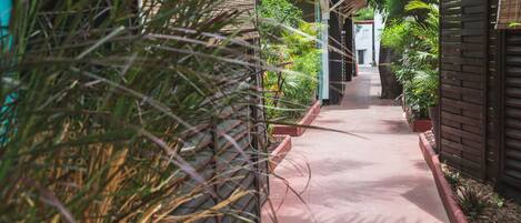 A narrow pathway flanked by lush greenery and a wooden fence, leading to a building with a tiled roof.