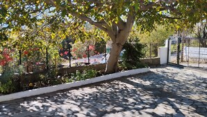 Un chemin pavé bordé d’une bordure blanche, un arbre aux feuilles vertes et, au fond, un portail en métal.