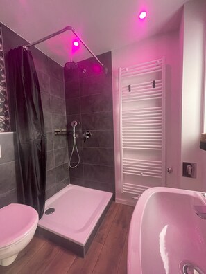 Regadera, secadora de cabello, toallas, jabón 