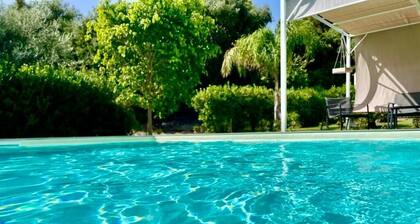 Strelitzia house with heated swimming pool from December 2024 and garden