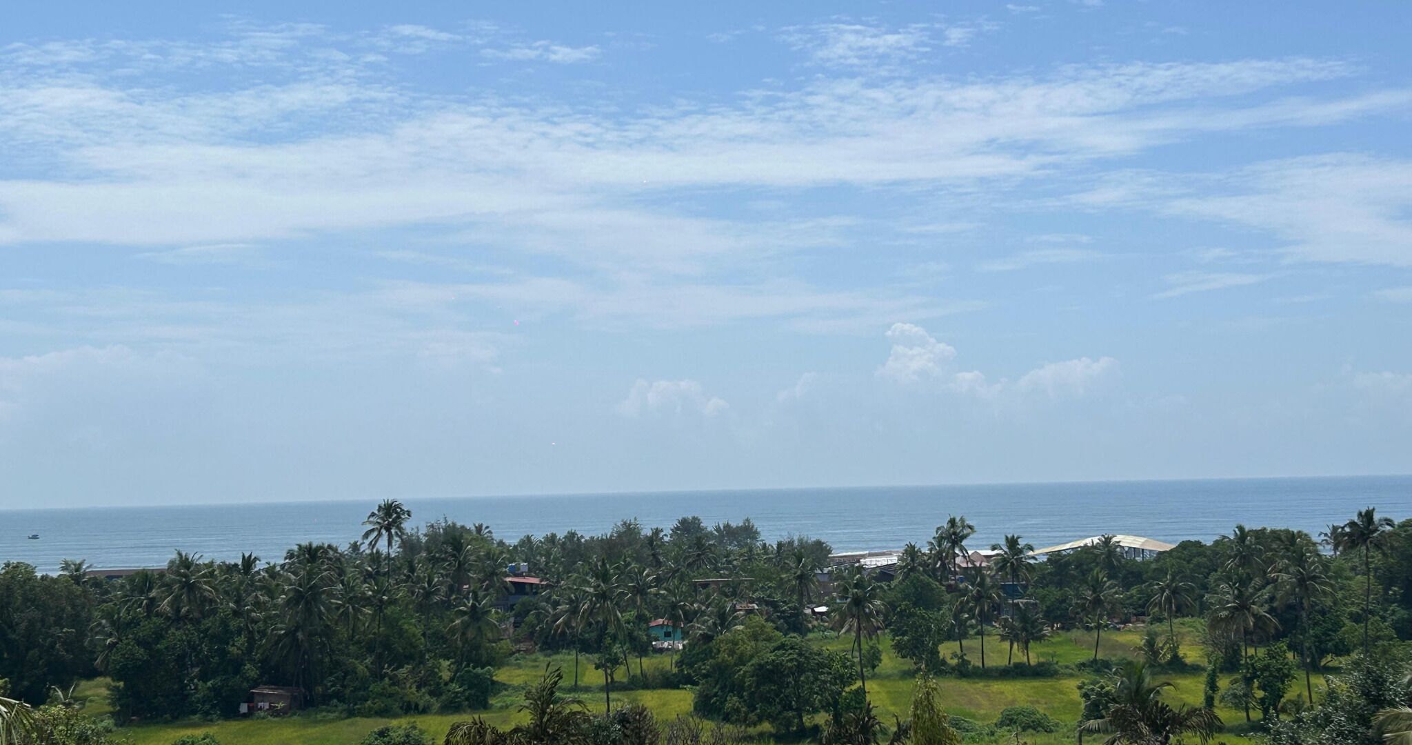 A coastal landscape with palm trees and a view of the ocean.