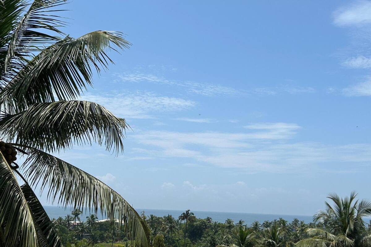 A tropical landscape with palm trees and a view of the ocean.