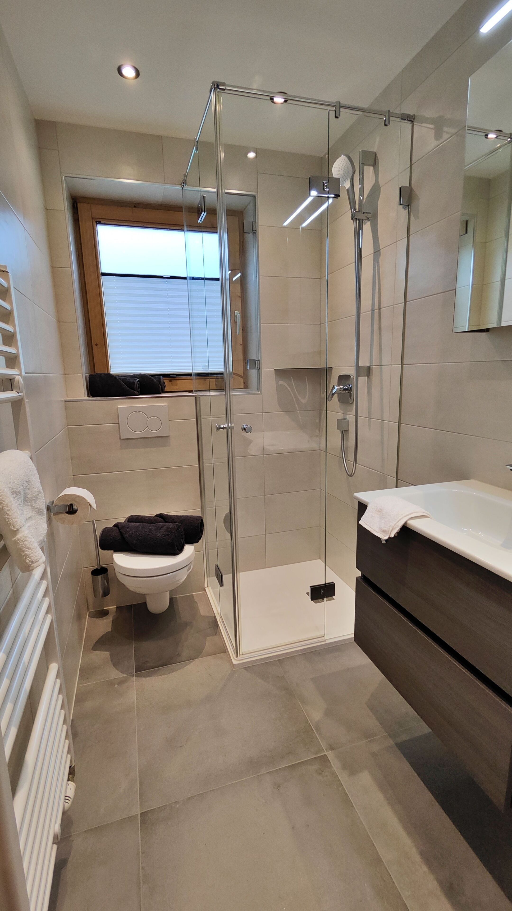 Shower, towels, toilet paper