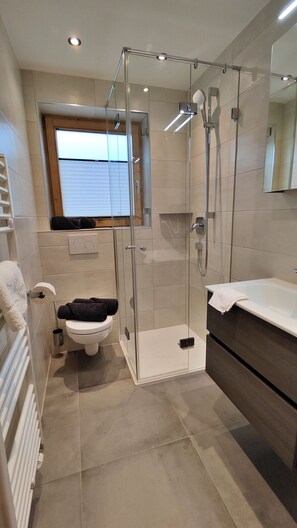 Chuveiro, toalhas de banho, papel higiênico 