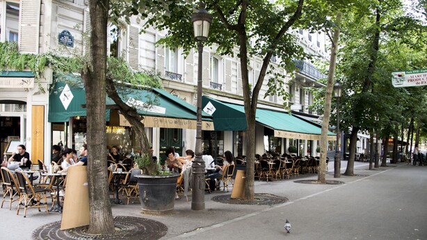 Un café al aire libre con mesas y sillas, rodeado de árboles y edificios.
