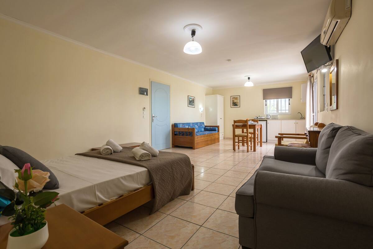 Quarto de hotel com duas camas, um sofá, uma mesa pequena com uma planta, uma cozinha compacta e um banheiro visível através de uma porta aberta.
