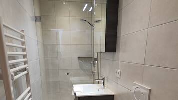 Shower, towels, toilet paper