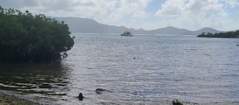 Cozy Waterfront Cottage Sleeps 6